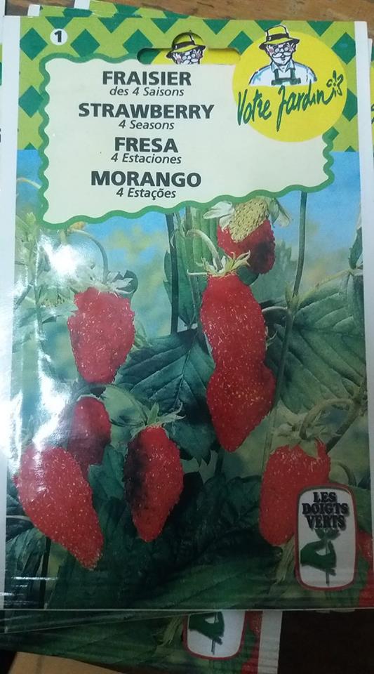  Semences De Fraise - semence graine plant nous vendons des semences de fraises productibles un peu partout en afrique.--pour vos commandes,  veuillez nous envoyer un mail.--nous livrons un peu partout dans le monde