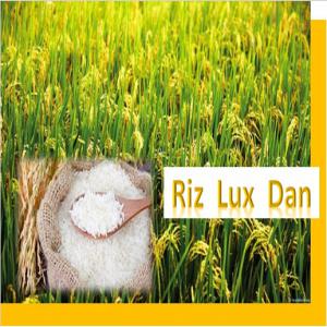  Le Riz Local De Luxe De Danané Riz Luxe Dan - céréales le riz local de danané est le riz par excellence produit et consommé dans cette région de la cote d' ivoire . il se presente sous plusieurs formes . long grains ,   guissi  ; brisure    sonhon ,  