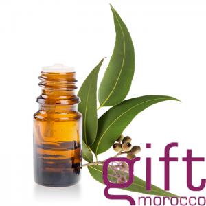  Huile De Massage L'huile Essentielle D'eucalypt - huiles  les propriétés de l huile essentielle d eucalyptus globuleux s expliquent par la présence de composés actifs à l origine présents dans les feuilles d eucalyptus globulus.pour la santé---anti-inflammatoire-anti-infectieuse et antiseptique aérie