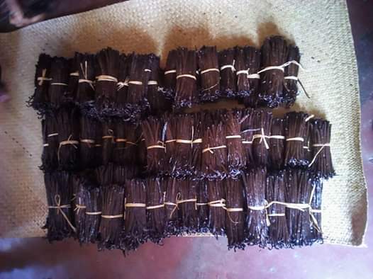  Vanille Bourbon De Madagascar - épices aromates je cherche des partenaire pouvant m aider a exporter des vanille de bonne qualite de madagascar et moi je guarantie la bonne qualite de mes produit--