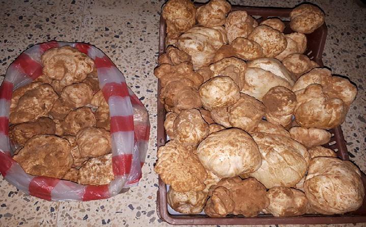  Truffes Blanches Tunisiennes Avec Certificat Bio - champignon levure nous r&eacute;coltons les truffes blanches du sud tunisien (nos &eacute;quipes) sur 6 zone g&eacute;ographiques- sidi toui,  kambout,  remada,  dhiba,  dhahar et benguerdenne.--nous faisons deux types de s&eacute;lection et tri---- 1 &egrave;re s&eacute;lection concernant la qualit&eacute;- &eacute;limi