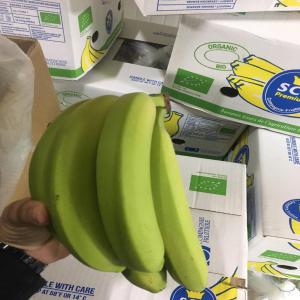  Banane Calibre 20+ - fruits et légumes bonjour --je recherche pour le compte de mon client basé en europe des bananes très bonne qualité bio ou pas calibre 20+.--on peut prendre entre 05  et 10 tc40 par semaine si le prix est bon.--la marchandise doit etre disponible en europe uniquement,  pas d'importation.--pour plu