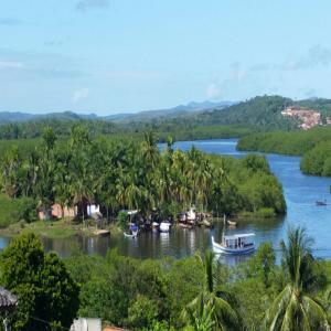  Société Agricole Plantation Vendre Au Brésil - Investissement capitaux société de personnes à 2 actionnaires (couple marié) localisée dans le municipe de nilo peçanha,  entre les villes de itubera et valença,  le long du littoral atlantique de l'etat de bahia. elle dispose des actifs suivants - une plantation de 90 hectare
