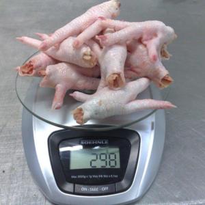 Brazil Chicken Meat And Cuts Suppliers - meat and eggs we have available stock of approved chicken cuts like paws ,  feet ,  wings ,  mdm ,  breast ready for delivery to the interenational market from approved sif numbers . contact with your loi and we shall get to you in the shortest of time with our quality services.