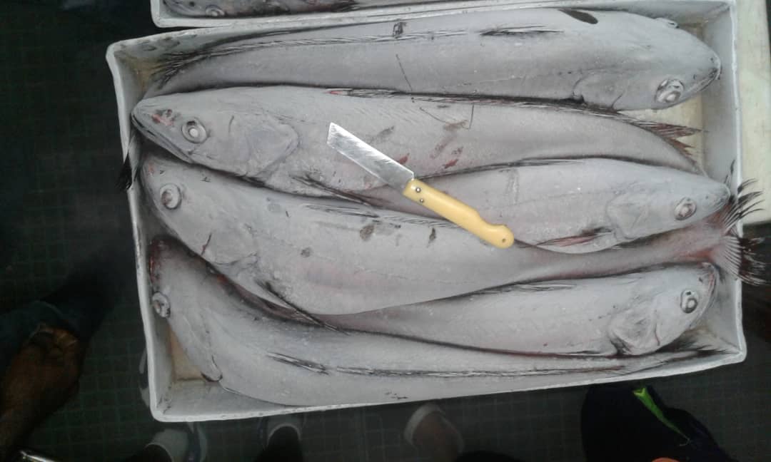  Congelé Mer - poissons bonjour  je suis à la recherche de partnair qui peuvent prendre aumoins 240 tonnes de poisson congele à bord  merci