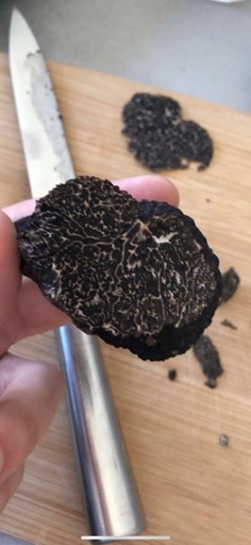  Fournisseur /vente Truffe Noir Mélanosporum - champignon levure bonjour,  je suis producteur et vendeur/fournisseur de truffes noir mélanosporum. --les truffes que je vends sont issus de ma propre production localiser à richerenche et ses alentours (drôme provençale). --grâce à cela je suis dans la capacité d’honorer