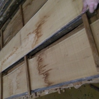  Unedged Robinia (robinia Pseudoacacia) - wood charcoal fiber for sale unedged robinia fake acacia (robinia pseudoacacia) --thickness 32 mm width 100 mm + length 2m +--quality abc kd (artificial drying) 12% (+/- 2%)--volum - 125 m3  ( 40 hc container 28 m3 delivery all over the world )--timber available within 48 hours ---- --