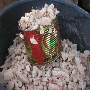  Pain De Singe En Stock Ainsi Que Dautres Produits - fruits secs et graines grillées le pain de singe veritable du burkina faso bien stockes et de qualites nous sommes prets a vous fournir un service fiable et de qualite