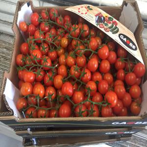  Fruits Et Legumes Espanol - fruits et légumes nous offrant notre gammes de fruits et l&eacute;gumes saisonniers ex tomates different qualit&eacute;s pommes oranges kaki...