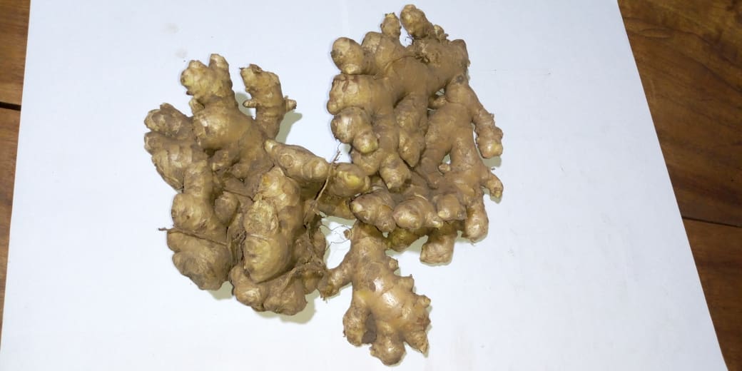  90 Tonnes De Gingembre Disponible (cmr) - épices aromates nous disposons actuellement de près de 90 tonnes de gingembre frais  en champs,  en fonction de l'usage que vous en ferez nous pouvons le sécher ou vous l'expédier frais. ils est cultivé dans l'ouest du cameroun une zone aux terres riches et fertiles,  pays de produits d'ex