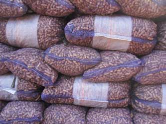  Noix De Cajou Brésilien - matiere vegetale je dispose des gros de noix de cajou de bon qualité en quantité d'origine brésilienne.je suis à votre disposition en cas de besoin quelque soit la tonne , nous vous exportons vers votre ville ou pays actuel .
