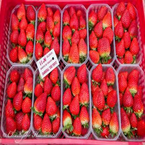  Fraise - fruits et légumes bonjour, --nous sommes des producteurs et exportateurs de plusieurs types de fruits et légumes. --pour le moment notre récolte de fraise est prete. --packaging - barquettes de 250 grammes / 12 barquettes/  carton. --merci de nous communiquer afin de vous donner une bonne offre de prix -