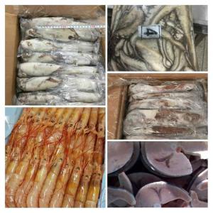  Fresh And Frozen Fish - fish squid cuttlefish,  mullet,  sea bream,  saint pierre,  captain,  bar,  sole,  merou,  fresh or frozen and fishmeal, oil fish contact us in mauritania,  the quality bank by the bank of a flight of feathers ,  certification,  sanitary certification,  catch certification,  and all necessary--- a negotiation--- north