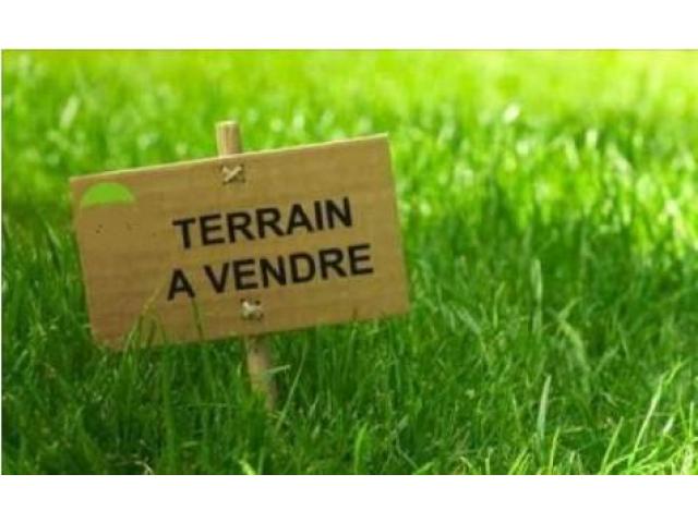  Parcelle Agricole - mine terrain concession je recherche une parcelle de terre exploitable pour des produits maraîchers,  les zones ciblées sont celles du sud (bonoua,  dabou,  sikensi).