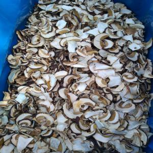  Nous Recherchons Des Distributeurs De Champignons - champignon levure depuis de nombreuses années,  notre société collecte et transforme,  sèche les champignons forestiers(boletus,  champignons chanterelles,  morchella). nous travaillons dans toute la russie. les volumes de livraison ne sont limités que par les souhaits de l'acheteur. le