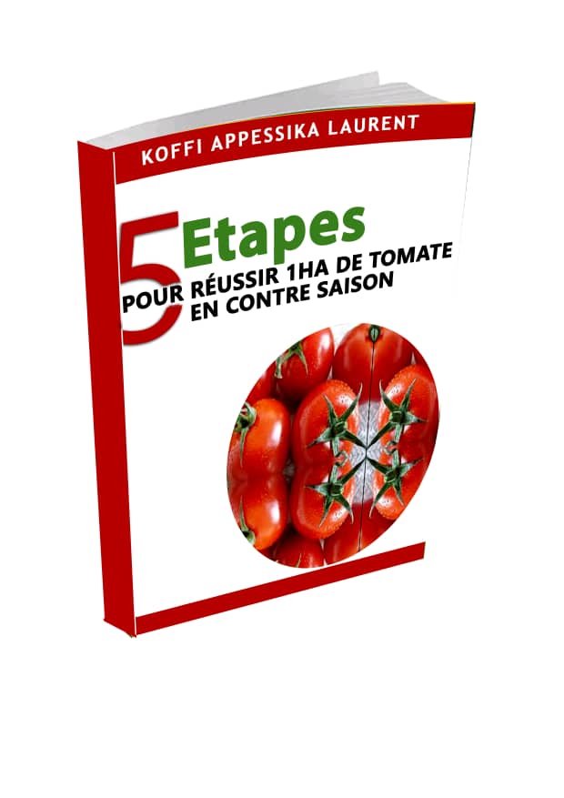  Livres Disponibles Sur La Conduite De Vivriers - fruits et légumes bonjour, ----les cultures vivrières rapportent énormément d'argent chaque année. mais malheureusement beaucoup de personnes intéressés par ce secteur ignorent les choses importantes à savoir pour réussir dans ce domaine. ----nous avons 5 livres 