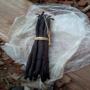  Vanille Sèche Gourme - épices aromates notre vanille a  longueur 16-22cm, noire gourme, demi sèche, quantité 1tonne.et l'origine mananara-nord, vous pouvez aussi faire des commande  tout type de qualité. 