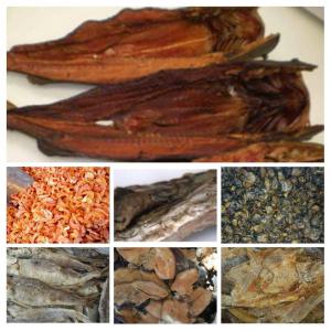  Produits Halieutiques Transformés - poissons jeune entrepreneuse &eacute;voluant  dans la transformation de produits halieutiques(poissons fum&eacute;s,  poissons secs,  fruits de mer...) cherche des clients ou partenaires partout dans le monde avec des tarife abordable.