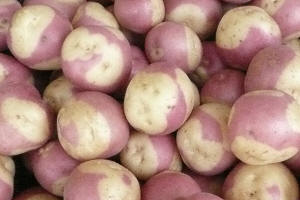  Recherche D'un Partenariat Ou D'un Client - fruits et légumes bonjour, ----faisons parti d'une familles de producteur de lègumes comme la pomme de terre,  des choux,  des carottes,  des brèdes,  ... en quantité et en qualité à antsirabe,  je suis à la recherche d'une éventuelle partenariat ou d'un client.--alors si mo