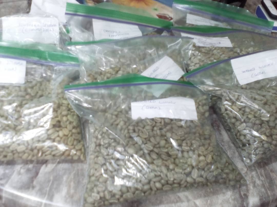  Grain Vert Du Café - café cacao thé nous exportons toutes sortes de grains de café ethiopian du grades 1, 2, 3. notre société exporte des grains de café avec les spécifications suivantes. si vous etes intéressé par nos produits,  veuillez nous contacter pour plus de détails et de pr