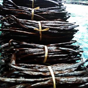  Cherche Acheteurs De Vanille De Madagascar - épices aromates cherchons des acquéreurs des vanilles de madagascar,  de toutes catégories,  à prix et quantité négociés.