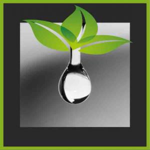  Plantes Séchées De Niche - huiles on vous propose des plantes aromatiques et m&eacute;dicinales s&eacute;ch&eacute;es ---feuilles d'oliviers--romarin--thym--&eacute;corces d'orange--ecorces d'orange amers--thym--origan--verveine--sauge--carroube--romarin--prix imbattables et qualit&eacute; irr&eacute;prochable.