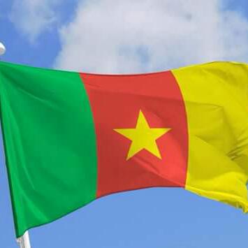  Recherche De Parténariat Pour Représentation - emploi représentation nous sommes une soci&eacute;t&eacute; bas&eacute;e au cameroun et nous sommes dispos&eacute;s &agrave; repr&eacute;senter des entreprises &eacute;trang&egrave;res dans plusieurs domaines d'activit&eacute;s notamment- agroalimentaire - pi&egrave;ces d&eacute;tach&eacute;e - b&acirc;timent - fournitur