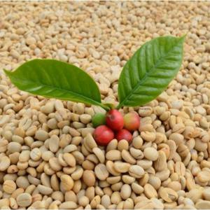  Je Vends Café Vert (non Torréfié)grande Quantité - café cacao thé bonjour ! --je possède une entreprise de commerce du café originaire d'afrique centrale (en tanzanie),  une région cultivant deux variétés - l'arabica et la bourbon rouge. je suis à la recherche d'un importateur  avec lequel je pourrais faire affaire,  sachant