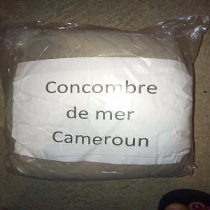  Concombre De Mer En Poudre - coquillage crustacé vente de concombre de mer en poudre --provenance cameroun--prix négociable--vente en france ou autres et frais de port à la charge  du client--  