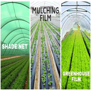  Filet D'ombrage Et Serres - matériels machines nous fabriquons des filet d'ombrage et des serres de diff&eacute;rents tailles et couleur.--pour plus de d&eacute;tails n'h&eacute;siter pas &agrave; nous contacter.--prix comp&eacute;titif