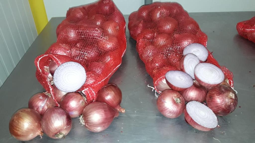 Oignons Rouges - fruits et légumes nous sommes basés en région parisienne,  nous représentons officiellement l'un des leaders algériens de la production de toute sorte de légumes --une solide coopération avec les grandes compagnies de transport nous permettra de s'engager dans des contrats en 