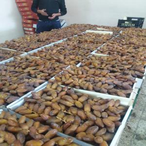  Les Dattes - fruits et légumes bonjour nous avons une société a marseille et algerie pour importer les dattes deglet ennour d' algérie origine tolga je recherche un grossiste en france et europe 4000€  pour une tonne première choix et j'ai plusieurs catégories