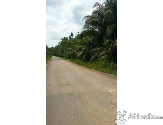  Terrains Agricoles Vendre - mine terrain concession terrain agricole situé à 1 km de la route sur l'axe lourd douala-yaoundé au lieu dit  plaque  33 . terrain titré,  transaction devant notaire.