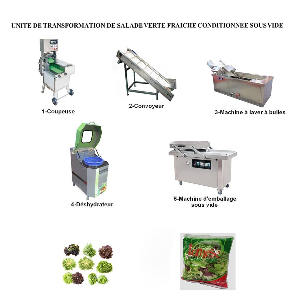  Créez Une Unité De Transformation De Salades - matériels machines les salades sont des plantes potagères dont les feuilles sont consommées et dont il existe des centaines de variétés. la salade verte (c’est ainsi qu’on la nomme souvent) fait partie du quotidien d’une alimentation équilibrée,  qu’elle soit servie au dé