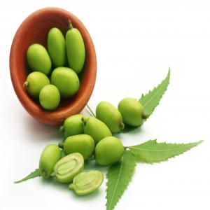  Huile De Neem Aux Grandes Vertus - huiles huile de neem pure et fra&icirc;chement press&eacute; &agrave; votre disposition,   utilis&eacute; aussi bien pour vos maladies sue pour vos cheveux,   votre corps,   il a des propri&eacute;t&eacute;s guerissantes,  r&eacute;g&eacute;n&eacute;ratrice,  ...,  avec lui vous etes &agrave; l'abri de certains 