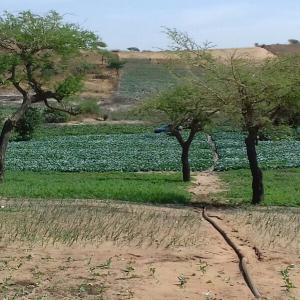 Exploitation Agricole - mine terrain concession l’agriculture constitue l’une des piliers fondamentaux de la politique de développement du sénégal. elle contribue à la sécurité alimentaire et à la création de richesses à travers d’importants flux d’exportation vers les marchés 