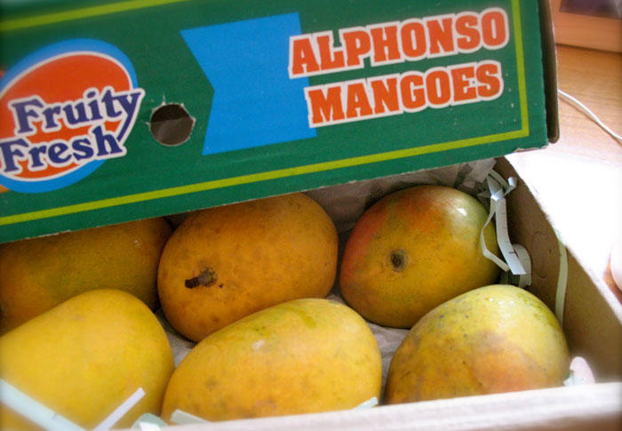  Mangues Fraiches Alphonso -chutney De Mangues - fruits et légumes bonjour ,  nous vendons des mangues fraiches de la fameuse vari&eacute;t&eacute; alphonso en provenance d'inde qui est surement la meilleure vari&eacute;t&eacute; de mangue au monde .son gout est unique et sa chaire sucr&eacute;e ...la saison 2019 commence,  prix tr&egrave;s attractif   &eacute;xp&eac