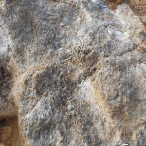  Crushed Gypsum For Cement Plants - stone rock tunisian company is looking to export crushed gypsum for cement plants,  very good quality. looking for customers,  order quantity 5, 000 - 50, 000 tons.
