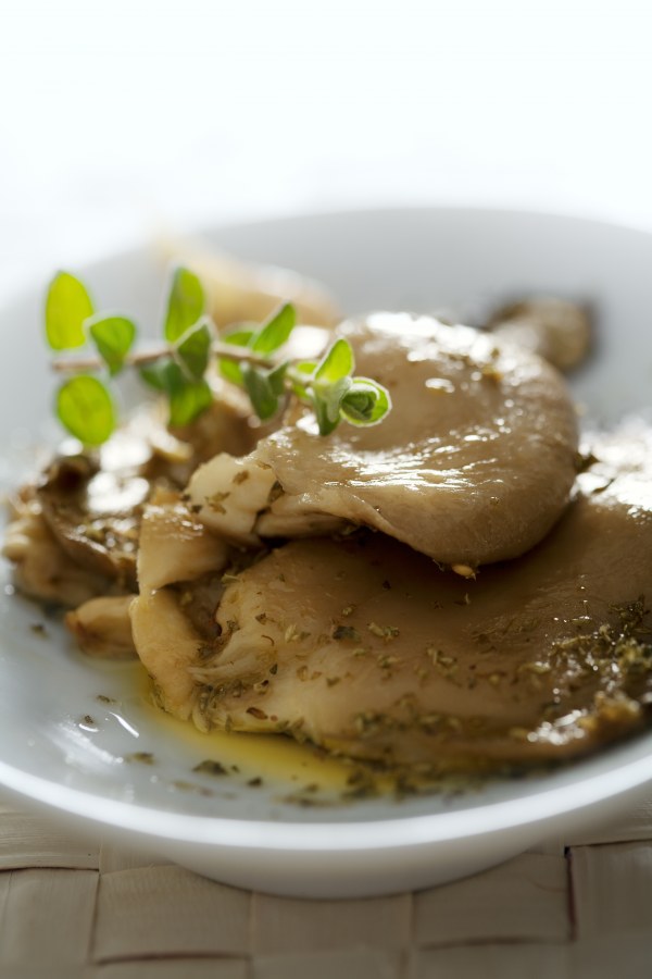 Pleurote Frais Et Bonne Qualité - champignon levure champignon pleurote--nous sommes une entreprise de production de champignons pleurotes. nous disposons de quantités importantantes de ce produit et recherchons des partenaires pour leur achat. nos prix sont intéressants et abordables. ils sont communiqués à la demande. to
