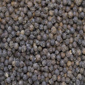  Poivre Noir En Grain Disponible La Vente - épices aromates récolte de poivre noir en grain de côte d'ivoire de bonne qualité disponible à vendre à très bon prix. je suis à la recherche de client en côte d'ivoire ou à l'international. exportation possible.