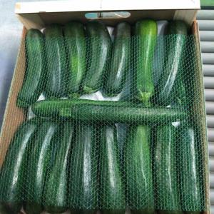  Courgettes Noir Et Verte De Maroc. - fruits et légumes courgettes noir et verte de maroc. --conventionnel.--tous les calibre.--de la région agadir.--pour l'export.--transport international .--cordialement.