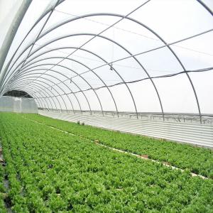  Recherche D'actionnaires - fruits et légumes --ne perdez plus de temps investissez au  cameroun étant chez vous  par une coopérative  dont l'expérience technique  est avérée en achetant des actions agricoles à court terme---benefice--10, 20, 30, 40, 50, 60℅ celon les actions achetées.--culture 