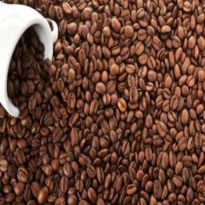  Recherche Producteurs De Café - café cacao thé urgent au nom d'une importante entreprise italienne de torréfaction,  nous recherchons des producteurs et / ou des fournisseurs capables de fournir de grandes quantités de café ivoirien. merci de nous contacter exclusivement et strictement par email pour un premier échange