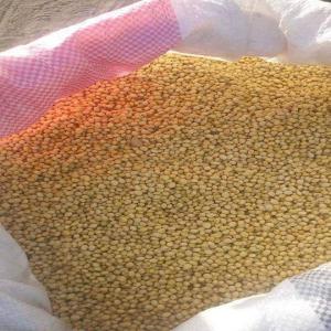  Vente De Soja Et De Cajou. - fruits et légumes comment allez vous chères partenaire en ma qualité de directeur d’entreprise je viens par la pressente annonce vous proposer nos services de fournisseur privilégier a tout entreprise ou personne privé à la recherche des produit tel que - - noix de cajou - soja,  ana