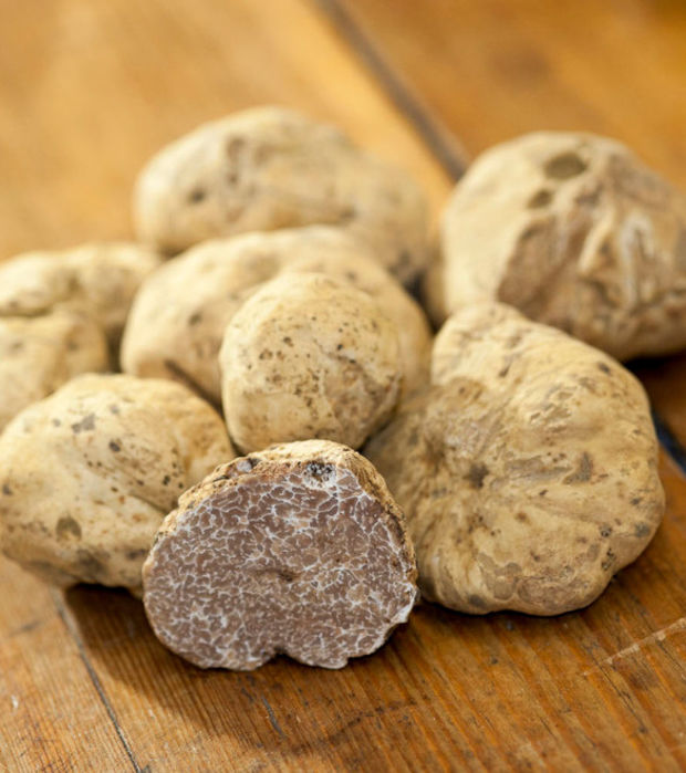  Tawfik Truffe - fruits et légumes --vente en gros truffe d'origine tunisien--vente et exportation des truffes d'origine tunisien----nous cherchons des clients partout dans le monde qui sont intéressés par les truffes d'origine tunisien--
