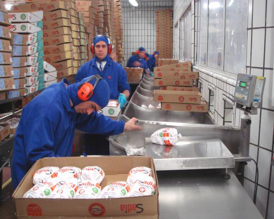  Frozen Chicken/beef/lamb Meat - meat and eggs we are here for your  fresh frozen chicken,  beef,  mutton,  lamb,  buffalo etc.,  meats  -- represent various experienced,  qualified,  hygienic,  certified factories/ slaughtering companies in different locations in the world. we can conviently satisfies all your need,  when it comes to frozen meat supply.