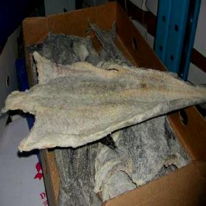  Poisson Sale Seche Du Senegal - poissons partner office est une entreprise familiale de droit s&eacute;n&eacute;galais bas&eacute;e &agrave; dakar au s&eacute;n&eacute;gal immatricul&eacute; au registre de commerce et du cr&eacute;dit mobilier (rccm) depuis 2011 sous le num&eacute;ro - sn dkr 2011-c 10841. ninea - 004431855. n&deg; tva - 3