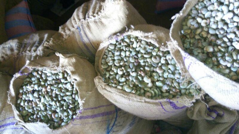  Recherche Acheteurs Du Noix Cajou - fruits secs et graines grillées je recherche des clients ou des partenaire ou des acheteur qui peuvent-ils venir acheter du noix cajou aupr&egrave;s des producteur a un bon prix avec autre produits tropicaux