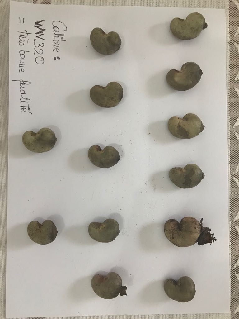  Noix De Cajou Saison 2024 - fruits secs et graines grillées l'acheteur envoi loi ou icpo dans les 72h le vendeur envoi fco ou spa pour permettre à l'acheteur d'amender si nécessaire,  l'acheteur contre signe la fco dans les 48h et l'envoi au vendeur dans les 48h le vendeur envoi le draft contrat.  seul les demandes avec la lettre d'intention ser
