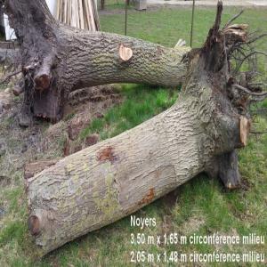  Vendre Bois Noyer Et Cerisier - bois charbon fibre vends 2 grûmes de noyer et 1 grûme de cerisier pour énéniste,  menuisier,  etc...--dimensions cerisier - -- - longueur 2, 15 m circonférence milieu 1, 37 m --dimensions noyers  sans les racines - -- - longueur 3, 50 m  circonférence milieu 1, 65 m-- - longueur 2, 05 
